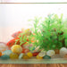 Agate Stone Collection: Natural Enhancements for Home Decor and Plant Care