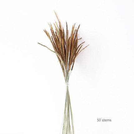 50-Stem Premium Dried Kirin Grass Bundle for Elegant Home Styling