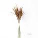 50 Stems Natural Dried Flower Kirin Grass 40-45cm
