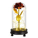Galaxy Rose Forever: Preserved Eternal Roses in Glass for Special Occasions