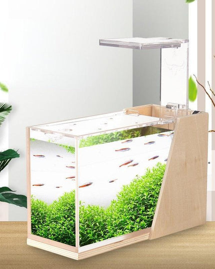 Sustainable Mini Aquarium with Customizable LED Lighting