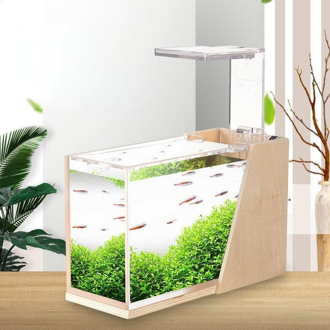 Sustainable Mini Aquarium with Customizable LED Lighting