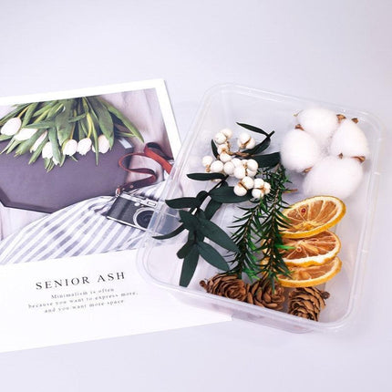 Eternal Floral Inspirations: Preserved Petals for Creative Expressions