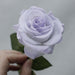 Silk Latex Real Touch Artificial Flowers - Set of 10 Pieces