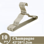 10pcs Champagne