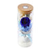Eternal Love Rose - Enchanted Bloom Glass Dome