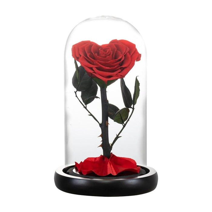 Eternal Glow Galaxy Rose: The Perfect Keepsake for Lasting Memories