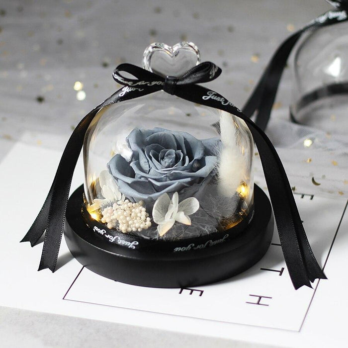 Endless Beauty: Enchanted Rose in Light-Up Glass Dome