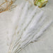 Bohemian Charm Dried Floral Arrangement Set - Elegant Decor for Home and Events