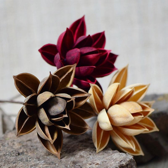Luxurious Burgundy Dried Lotus Flower Head Set - 5 Exquisite Pieces for Home and Event Decor