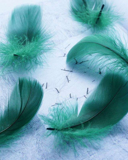 Feather Elegance Crafting Set: Enhance Weddings, Fashion, and Creative Projects