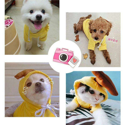 Chic Hooded Winter Jacket for Small Dogs - Fashionable Warmth for Tiny Tails