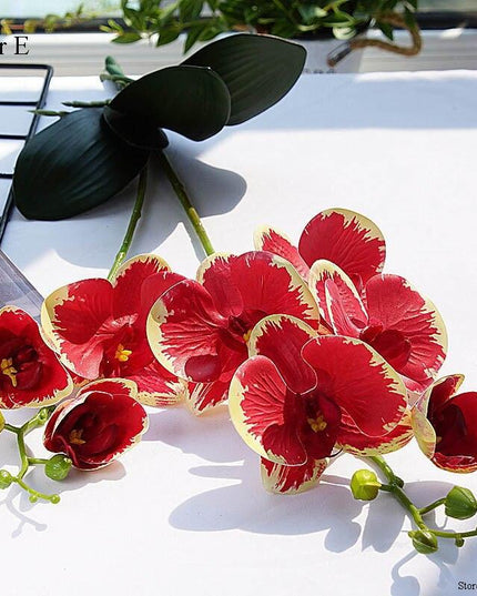 Elegant White Orchid Blooms for Upscale Home and Event Styling