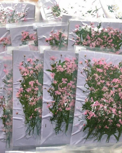 Dried Pink Gypsophila Flower Bundle - 250 Pressed Pieces for Crafting