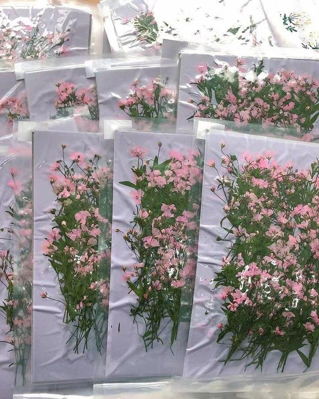 Dried Pink Gypsophila Flower Bundle - 250 Pressed Pieces for Crafting