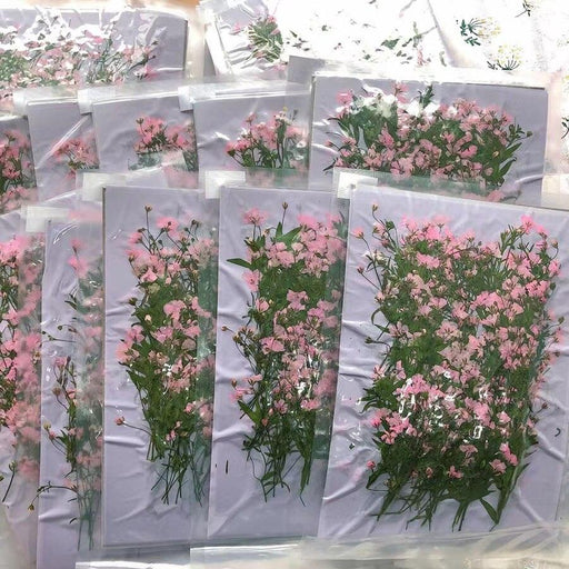 Pressed Dried Pink Gypsophila Flowers Bundle - 250 Pieces