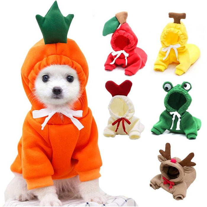 Colorful Hooded Fleece Dog Jacket - Stylish Winter Apparel for Small Dogs