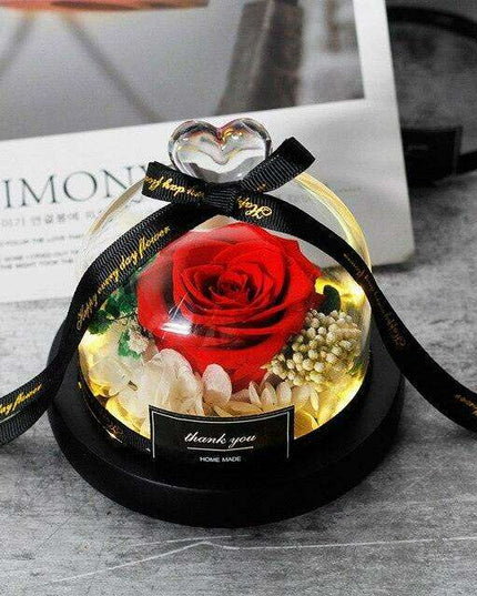 Enchanted Rose Glass Dome with Twinkling LED Lights