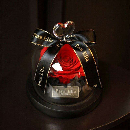 Timeless Floral Display - Preserved Rose Under Glass for Lasting Elegance