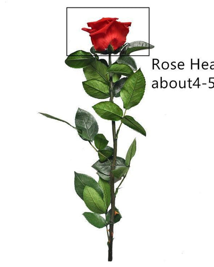 Eternal Elegance Preserved Rose Stem - The Perfect Gift for Weddings, Home Decor & Mother's Day