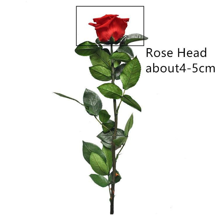 4-5CM/28cm,Natural Preserved Rose flower with stem,Real Eternal display rose for Wedding Party home Decoration,Mothers Day Gift