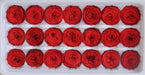 Preserved Grade A Austin Rose Flower Heads Set for Eternal Beauty (21 Mini Roses)
