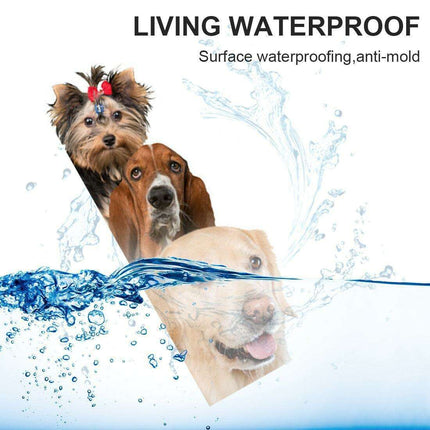 Whimsical Pet-Themed Wall Stickers for Playful Home Decor