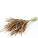 50 Stems Natural Dried Flower Kirin Grass 40-45cm