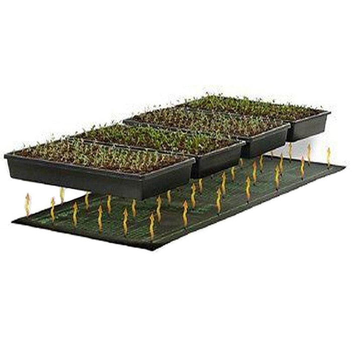 Plant Growth Accelerator Pad