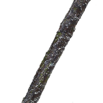 Elegant 72CM Artificial Ficus Pandurata Hance Bonsai - Luxurious Home Accent