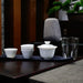Zen Kung Fu Ceramic Gaiwan Tea Cup Set with Travel Bag