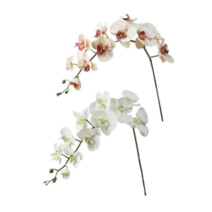 Luxurious 43.3" Silk Phalaenopsis Orchid Bouquet with 11 Realistic Blooms