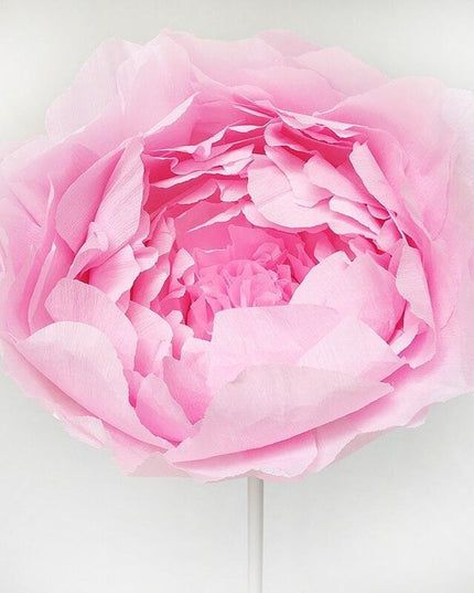 Majestic Giant Peony Paper Flower Crafting Set