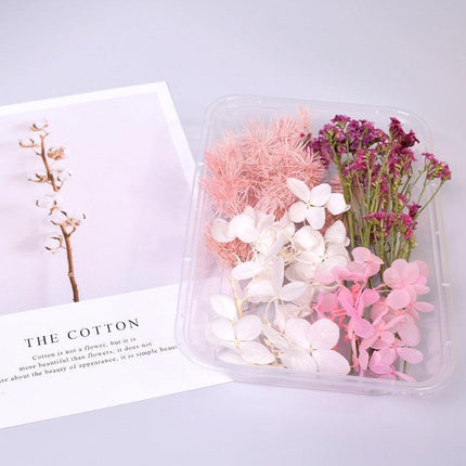 Eternal Floral Inspirations: Preserved Petals for Creative Expressions