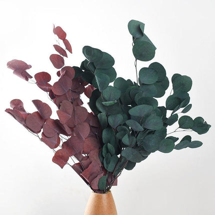 Serene Eucalyptus Essence: A Botanical Wonder for Every Setting