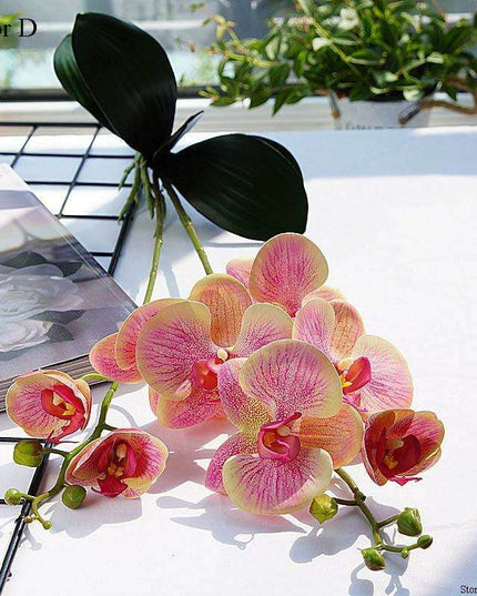 Elegant White Orchid Blooms for Upscale Home and Event Styling