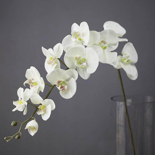 Elegant Silk Orchid Phalaenopsis Flower Bundle - 43.3" with 11 Heads & Size Variety