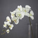 Silk Orchid Phalaenopsis Flower Collection - Large 43.3" Bundle with 11 Heads and Size Variety