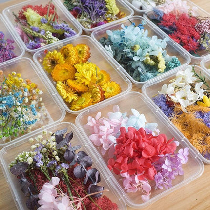 Eternal Floral Inspirations: Preserved Petals for Creative Expressions