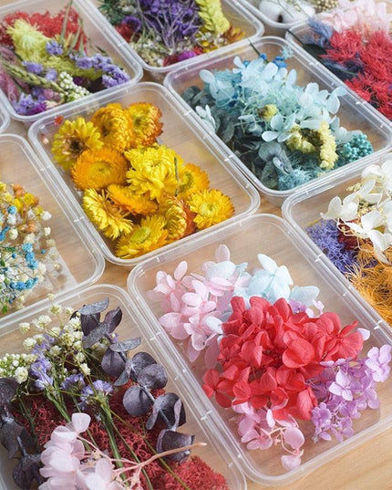 Eternal Floral Inspirations: Preserved Petals for Creative Expressions