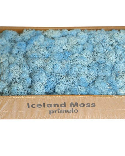 Lush Green Moss Wall Art: Nature's Timeless Beauty