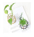 Nordic Elegance Handblown Glass Vase - Chic Decor Accent