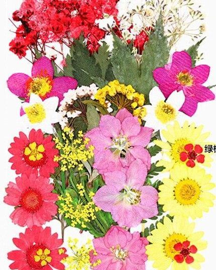 Luxurious Pressed Floral Collection: Aesthetic Inspirations for Creative Projects