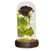 Eternal Glow Galaxy Rose: The Perfect Keepsake for Lasting Memories