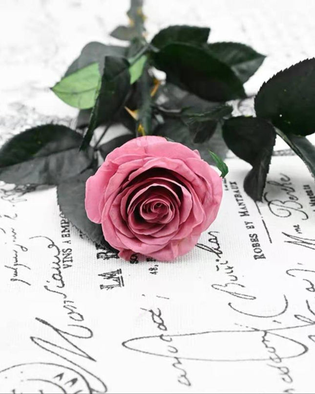 Eternal Elegance Preserved Rose Stem - The Perfect Gift for Weddings, Home Decor & Mother's Day