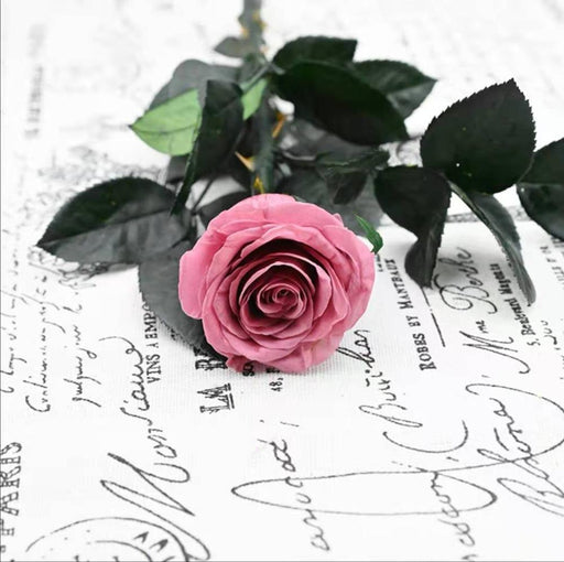 Preserved Rose Stem - Timeless Beauty for Wedding, Home Decor & Mother's Day Gift