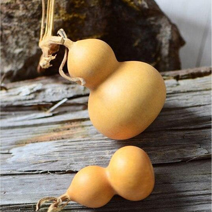 Natural Elegance 10-Piece Dried Gourd and Eternelle Plant Decor Set