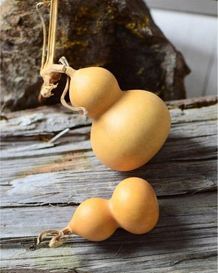 Natural Elegance 10-Piece Dried Gourd and Eternelle Plant Decor Set