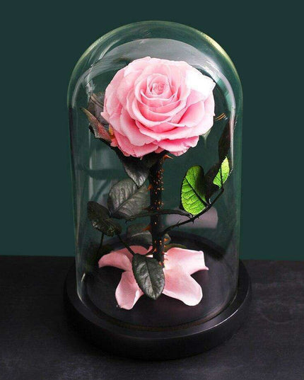 Eternal Elegance: Preserved Rose in Glass Dome - A Lasting Impression