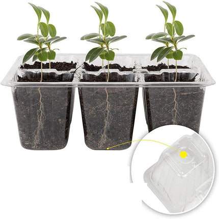Seedling Growth Essentials: 5 Resilient Plastic Nursery Pot Sets for Successful Gardening